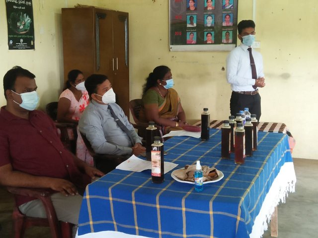 Kithul Photo