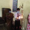 Kithul Photo